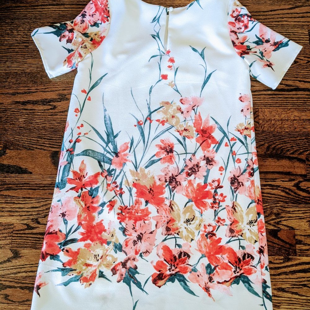 💋Anthropologie Peppermint Shift Dress - Lined Small - Picture 2 of 2